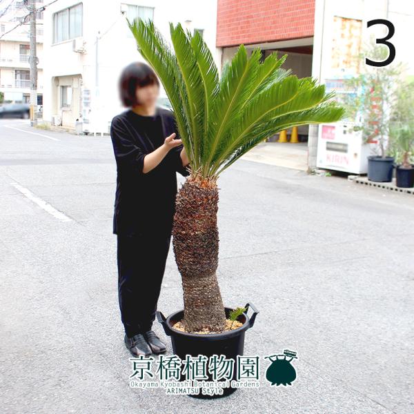 green-power_ag-251017-1