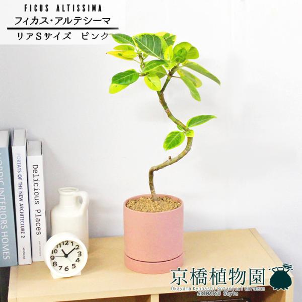 yASTCY/sNztBJXEAeV[}@Ȃy󂯎Mtz4G