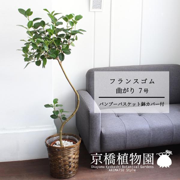 現品】フランスゴム曲がり7号茶鉢（1）