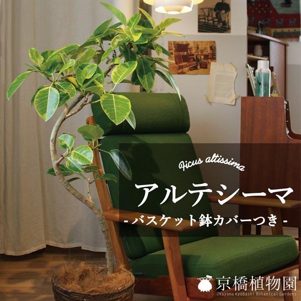 tBJXEAeV[}@Ȃ@8yoXPbgJo[tz