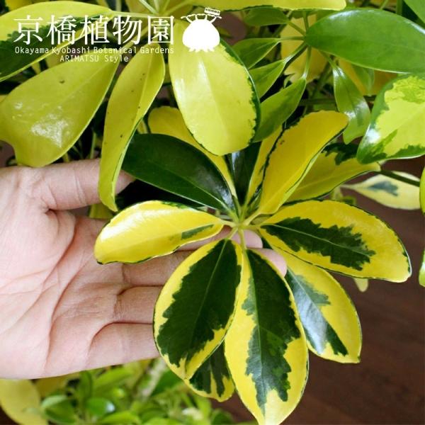 green-power_agt-148_2