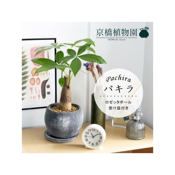 yIׂ锫J[zpL@[b^{[yȃ^zy󂯎Mtz