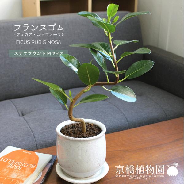 yXeEhFMTCY/픫ztXSyȂzy󂯎Mtz