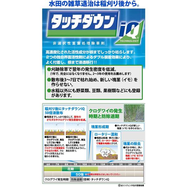 ������ �^�b�`�_�E��iQ 500ml �V���W�F���^ �l�� ���� ���� �ƒ�؉� �X�M�i �c���N�T �N�Y �T�T �| ���i�摜2