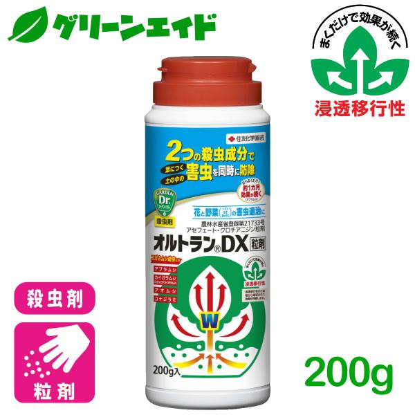 �E���� �I���g����DX���� 200g �Z�F���w���| ��� �� �ƒ�؉� ���| �A�u�����V ���i�摜