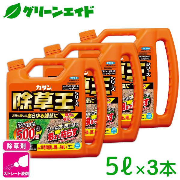【3本セット】除草剤 カダン除草王ザッソージエース 5L フマキラー スギナ 雑草 家まわり 駐車場 初心者向け ビギナー向け