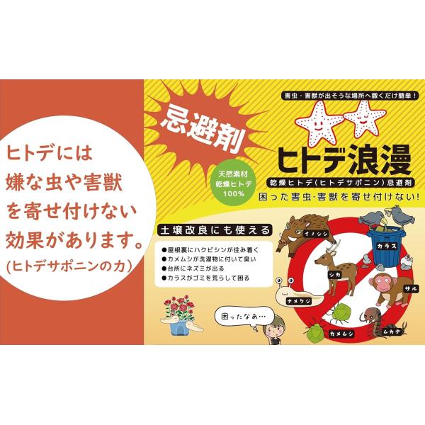 ������ �Q�� �Q�b �q�g�f�Q�� 500g ���Y�� �q�g�f �V�R ���R�R�� �C�m�V�V �V�J �J�����V ���J�f �T�� ���| �K�[�f�j���O ���i�摜1