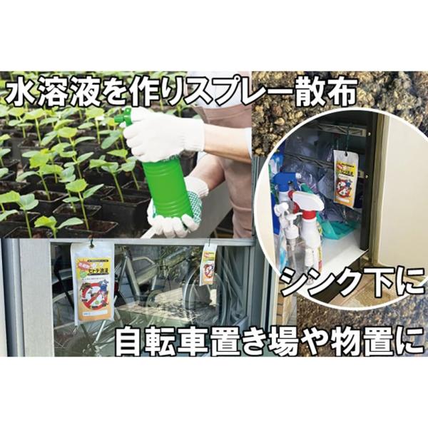 ������ �Q�� �Q�b �q�g�f�Q�� 500g ���Y�� �q�g�f �V�R ���R�R�� �C�m�V�V �V�J �J�����V ���J�f �T�� ���| �K�[�f�j���O ���i�摜3