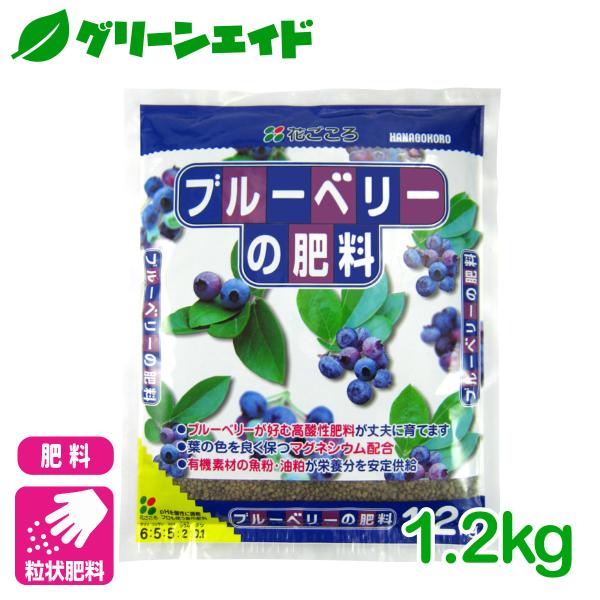 �u���[�x���[ �엿 �u���[�x���[�̔엿 1.2kg �Ԃ����� �ƒ�؉� �K�[�f�j���O ���| �r�M�i�[���� ���S�Ҍ��� ���i�摜