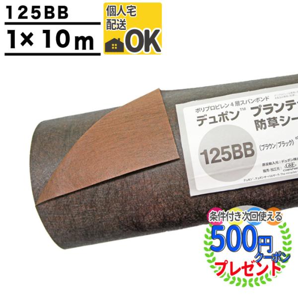 hV[g vebNX 125 1m×10m 10 Uo[ ڂV[g G΍  H  uE  ubN GF 125BB