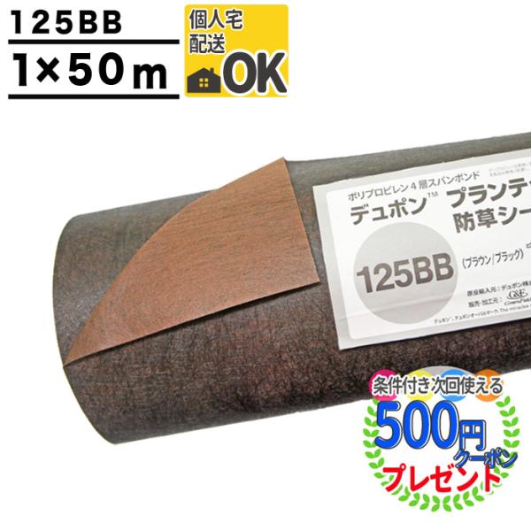 hV[g vebNX 125 1m×50m 50 Uo[ ڂV[g G΍  H  uE  ubN GF 125BB