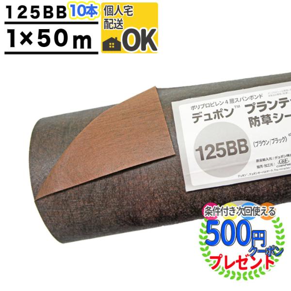 hV[g vebNX 125 1m×50m 10{ 500 Uo[ ڂV[g G΍  H  uE  ubN GF 125BB