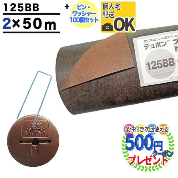 hV[g vebNX 125 2m×50m 100 Uo[ ڂV[g G΍  H  uE  ubN GF 125BB {GFi100