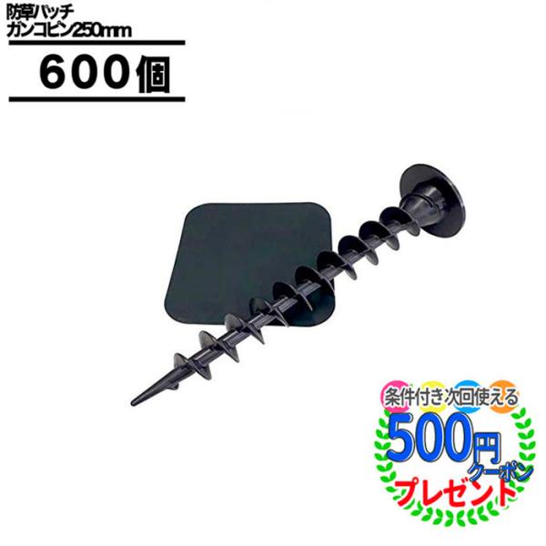 hV[g s Œ 25cm KRs 600{ pb` t Ж e[v    GF KRs250mm{hpb`