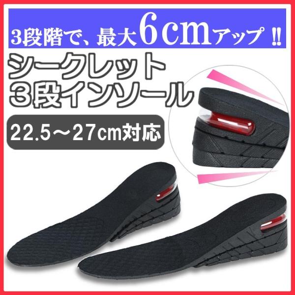 シークレットインソール インソール メンズ レディース Buyee Buyee Japanese Proxy Service Buy From Japan Bot Online