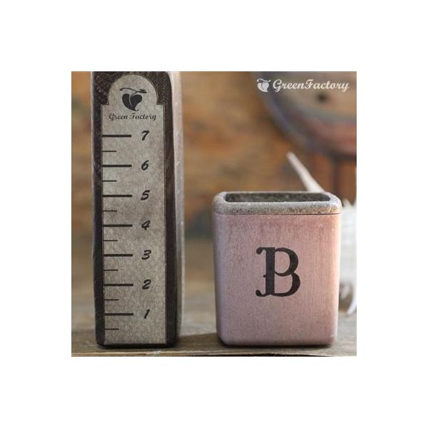 ■商品について小さな鉢に、アルファベットBの文字をスタンプしました。組み合わせで、様々なシーンでご活用いただけます。※キューブ（S）１個の価格です。※鉢は写真６枚目の４色からお選びいただけます。　注文時に備考欄よりお知らせください。■鉢につ...