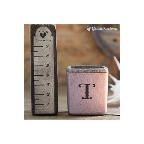 ■商品について小さな鉢に、アルファベットTの文字をスタンプしました。組み合わせで、様々なシーンでご活用いただけます。※キューブ（S）１個の価格です。※鉢は写真６枚目の４色からお選びいただけます。　注文時に備考欄よりお知らせください。■鉢につ...