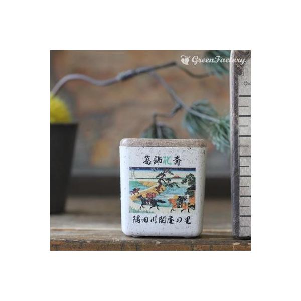 ■商品について小さな鉢に、浮世絵を転写しました。店頭に、または玄関、和室にと様々なシーンでご活用いただけます。サボテン、多肉はもちろん、ミニ盆栽やプリザーブドフラワーなどのアレンジに使っても可愛いですね。※キューブ（S）１個の価格です。■鉢...