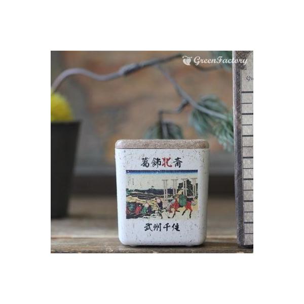 ■商品について小さな鉢に、浮世絵を転写しました。店頭に、または玄関、和室にと様々なシーンでご活用いただけます。サボテン、多肉はもちろん、ミニ盆栽やプリザーブドフラワーなどのアレンジに使っても可愛いですね。※キューブ（S）１個の価格です。■鉢...