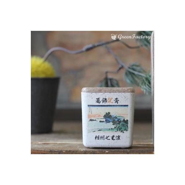 ■商品について小さな鉢に、浮世絵を転写しました。店頭に、または玄関、和室にと様々なシーンでご活用いただけます。サボテン、多肉はもちろん、ミニ盆栽やプリザーブドフラワーなどのアレンジに使っても可愛いですね。※キューブ（S）１個の価格です。■鉢...