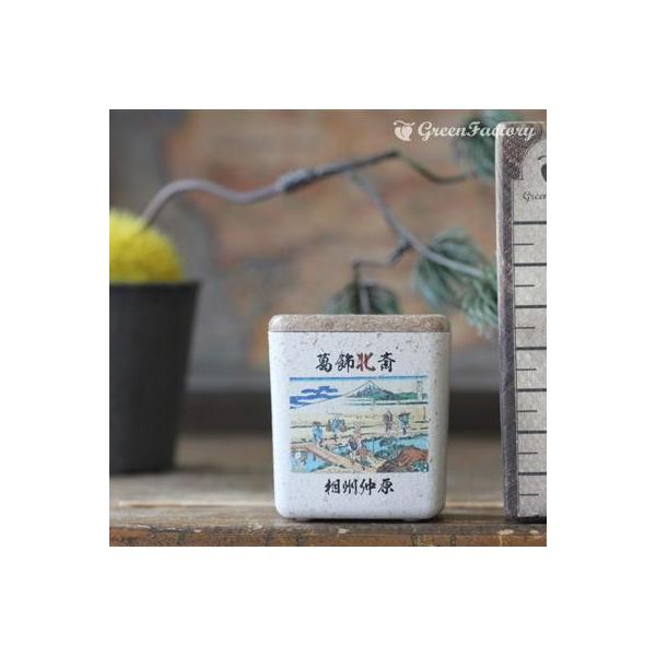 ■商品について小さな鉢に、浮世絵を転写しました。店頭に、または玄関、和室にと様々なシーンでご活用いただけます。サボテン、多肉はもちろん、ミニ盆栽やプリザーブドフラワーなどのアレンジに使っても可愛いですね。※キューブ（S）１個の価格です。■鉢...