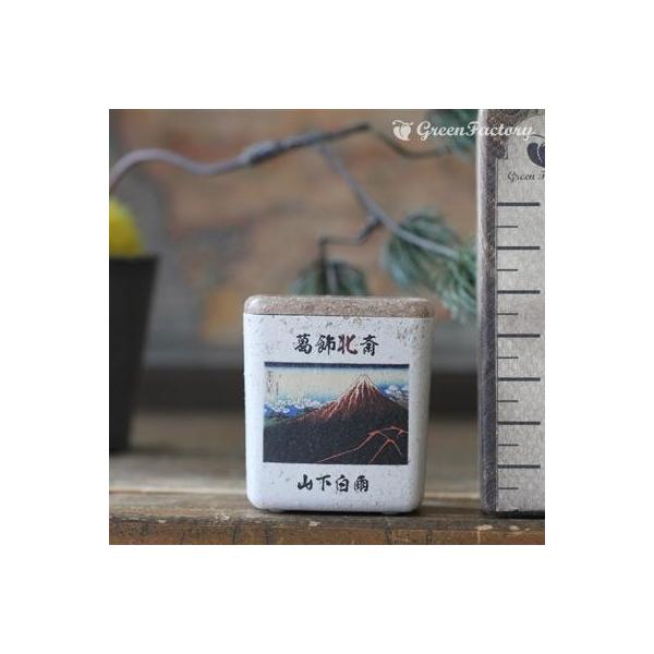 ■商品について小さな鉢に、浮世絵を転写しました。店頭に、または玄関、和室にと様々なシーンでご活用いただけます。サボテン、多肉はもちろん、ミニ盆栽やプリザーブドフラワーなどのアレンジに使っても可愛いですね。※キューブ（S）１個の価格です。■鉢...