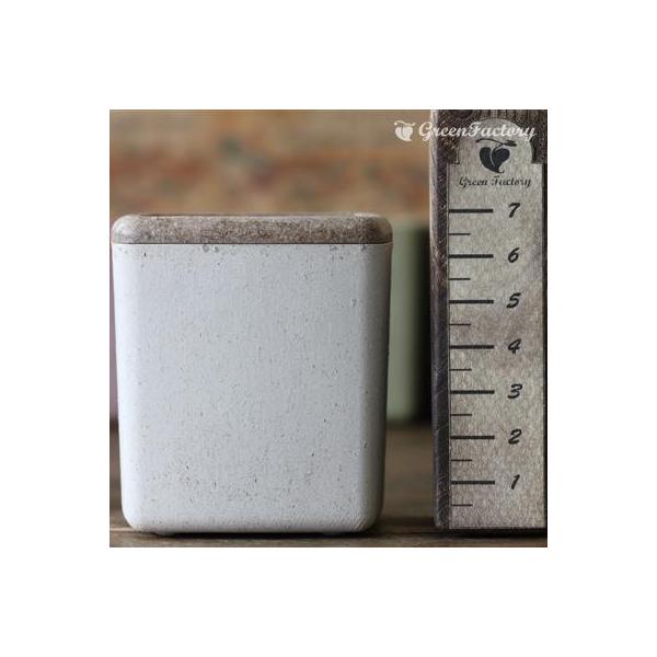 ■鉢について鉢は Taiwaアンティーク・プランツ・シリーズのキューブ(Ｍ)です。木材を混ぜて作った木質プラスチックの鉢です。アンティーク風の落ち着いた質感です。木材等を原料としており、通常のプラスチックと異なって、水やりや経年劣化により素...