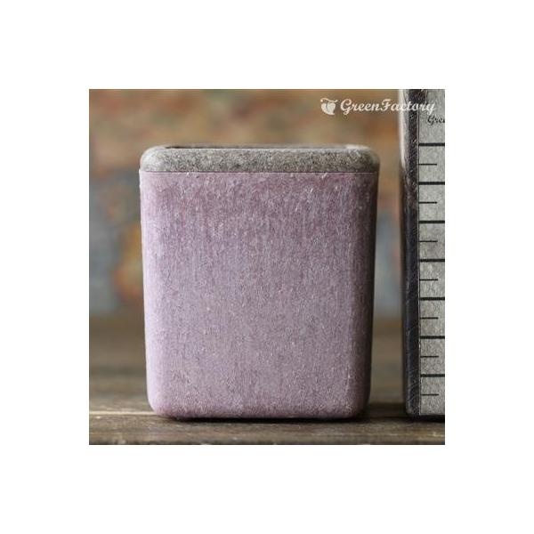 ■鉢について鉢は Taiwaアンティーク・プランツ・シリーズのキューブ(Ｍ)です。木材を混ぜて作った木質プラスチックの鉢です。アンティーク風の落ち着いた質感です。木材等を原料としており、通常のプラスチックと異なって、水やりや経年劣化により素...