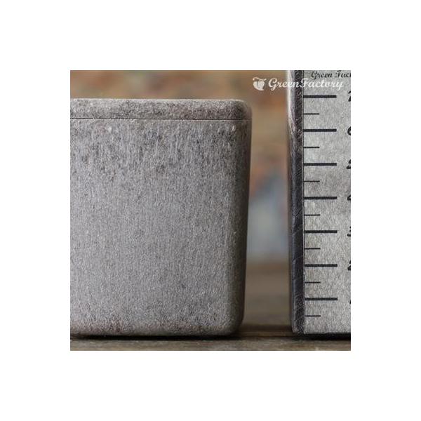 ■鉢について鉢は Taiwaアンティーク・プランツ・シリーズのキューブ(Ｍ)です。木材を混ぜて作った木質プラスチックの鉢です。アンティーク風の落ち着いた質感です。木材等を原料としており、通常のプラスチックと異なって、水やりや経年劣化により素...