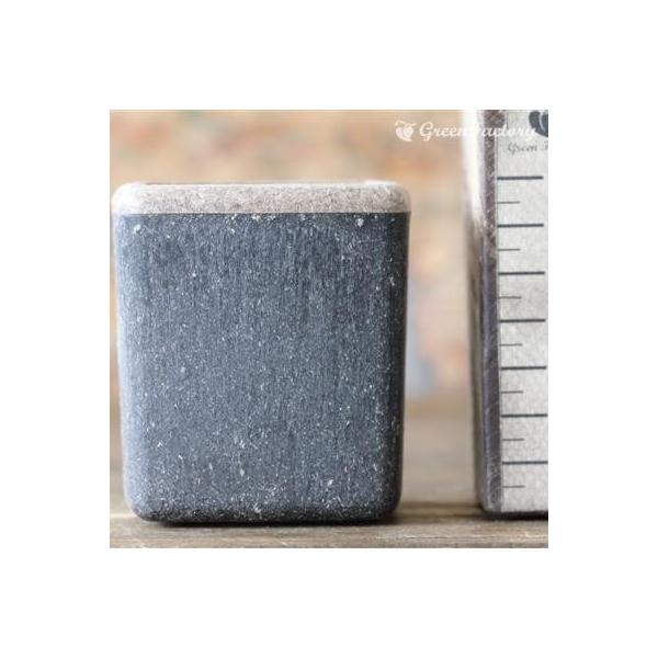 ■鉢について鉢は Taiwaアンティーク・プランツ・シリーズのキューブ(Ｍ)です。木材を混ぜて作った木質プラスチックの鉢です。アンティーク風の落ち着いた質感です。木材等を原料としており、通常のプラスチックと異なって、水やりや経年劣化により素...