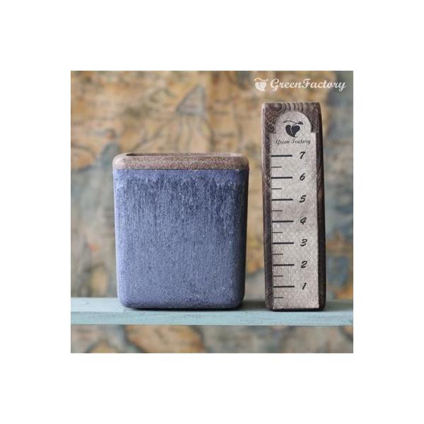 ■鉢について鉢は Taiwaアンティーク・プランツ・シリーズのキューブ(Ｍ)です。木材を混ぜて作った木質プラスチックの鉢です。アンティーク風の落ち着いた質感です。木材等を原料としており、通常のプラスチックと異なって、水やりや経年劣化により素...