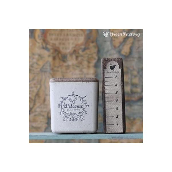 ■鉢について鉢は Taiwaアンティーク・プランツ・シリーズのキューブ(Ｍ)です。木材を混ぜて作った木質プラスチックの鉢です。アンティーク風の落ち着いた質感です。木材等を原料としており、通常のプラスチックと異なって、水やりや経年劣化により素...