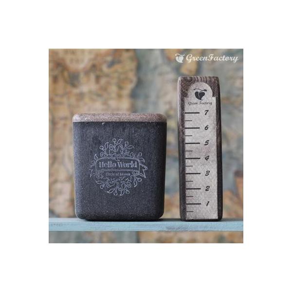 ■鉢について鉢は Taiwaアンティーク・プランツ・シリーズのキューブ(Ｍ)です。木材を混ぜて作った木質プラスチックの鉢です。アンティーク風の落ち着いた質感です。木材等を原料としており、通常のプラスチックと異なって、水やりや経年劣化により素...