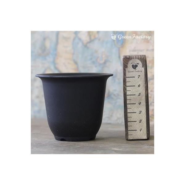 ■商品についてプラポット２．５号鉢です。サボテンや、多肉植物は根を温める事で、発根が促され生育が良くなります。そこで当店オリジナル・プラ鉢では保温性を高める為に、肉厚を通常品の約３倍に厚くしました。一度試してみて下さい！＊写真と同じ商品のお...