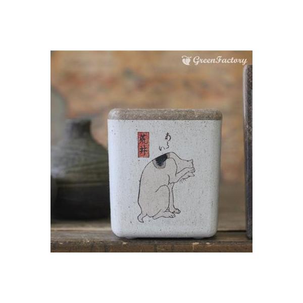 ■商品について小さな鉢に、浮世絵(猫）を転写しました。店頭に、または玄関、和室にと様々なシーンでご活用いただけます。サボテン、多肉はもちろん、ミニ盆栽やプリザーブドフラワーなどのアレンジに使っても可愛いですね。※キューブ（M）１個の価格です...