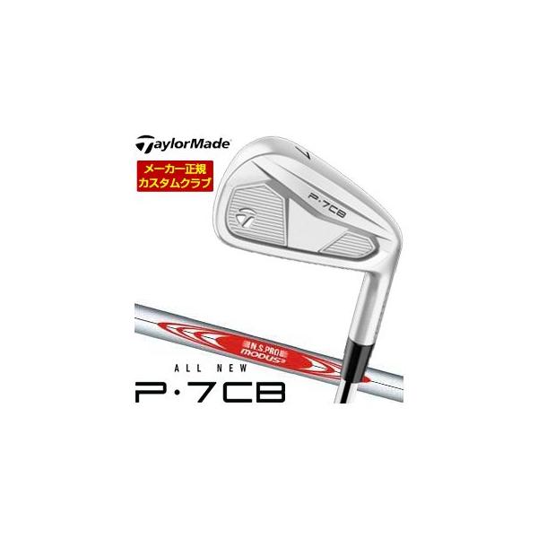 TaylorMade（テーラーメイド） 特注カスタムクラブ P7CB アイアン N.S.