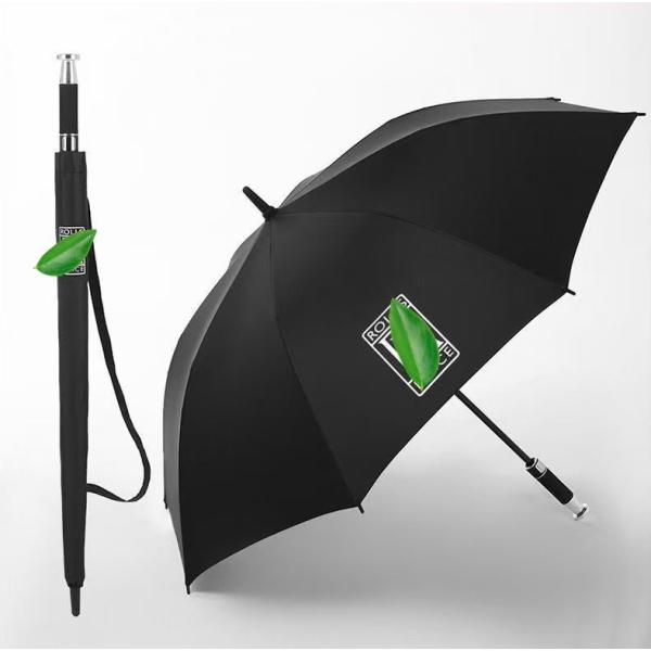 greenforest_car3qsa8412