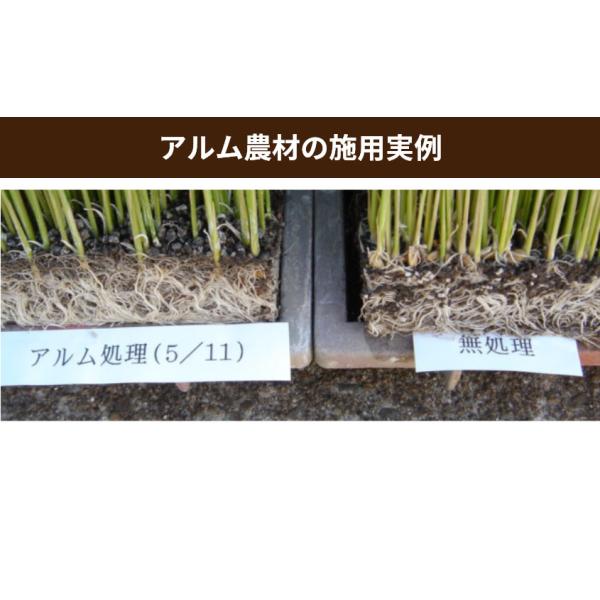 �A�������i�A�����W�����j3L 2�{�Z�b�g�u�L�@JAS�K���v �������Z�x������ �ƒ�؉� ������ �I�[�K�j�b�N �A���є_�� ���i�摜5