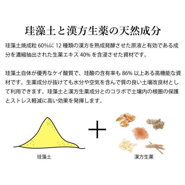 �A���������i�A�����J�����E�j 5kg �u�L�@JAS�K���v  �������Z�x������ ���� ������f���� �������i ����s�ǂ� �A���є_�� ���i�摜5