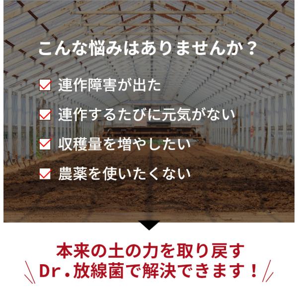 Dr.�����ہi�h�N�^�[�z�E�Z���L���j700ml  �A���Q �y����Ǎ� �΍􍂔Z�x���������ށi�t�U���E���ۂɂ��y��a�Q�p�j�L�@JAS�K�� �A���є_�� ���i�摜4