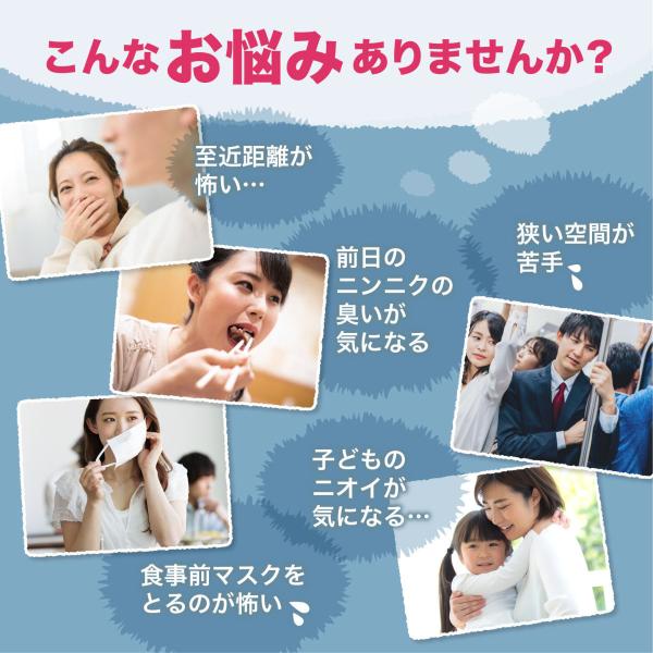 口臭対策 口臭サプリ ブレスガード 1袋 口臭 サプリメント タブレット 口臭の原因 即効 口臭ケア 口臭予防 口臭を消す 楽臭生活 Buyee Buyee 提供一站式最全面最专业现地yahoo Japan拍卖代bid代拍代购服务 Bot Online