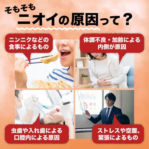 口臭対策 口臭サプリ ブレスガード 1袋 初回限定 49 Off 送料無料 口臭 サプリメント タブレット 口臭の原因 即効 口臭ケア 口臭予防 楽臭生活 Buyee Buyee Japanese Proxy Service Buy From Japan Bot Online