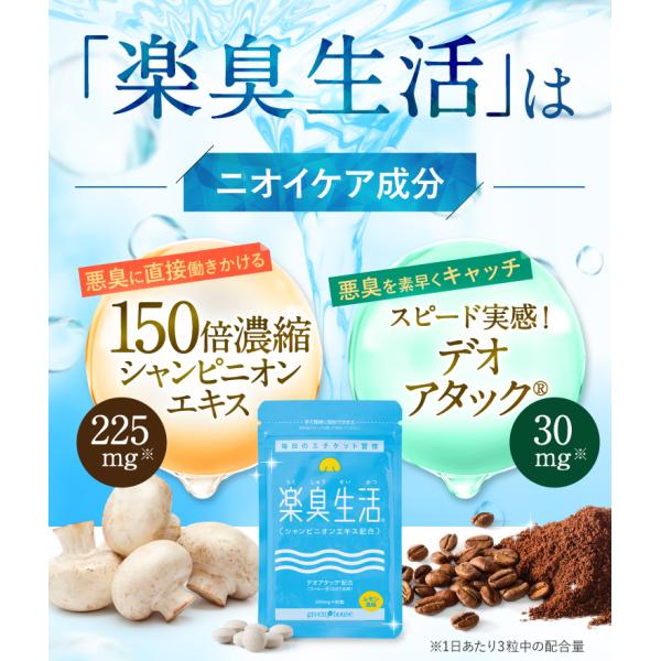 約22 Off 口臭対策 国内no 1 口臭サプリ 送料無料 楽臭生活 累計330万袋 口臭予防 口臭サプリ 口臭 国内no 1 体臭 サプリ タブレット 13袋 口臭ケア 口臭予防 加齢臭対策 シャピニオンエキス 健康食品の店グリーンハウス
