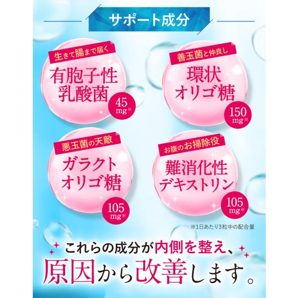 約22 Off 口臭対策 国内no 1 口臭サプリ 送料無料 楽臭生活 累計330万袋 口臭予防 口臭サプリ 口臭 国内no 1 体臭 サプリ タブレット 13袋 口臭ケア 口臭予防 加齢臭対策 シャピニオンエキス 健康食品の店グリーンハウス
