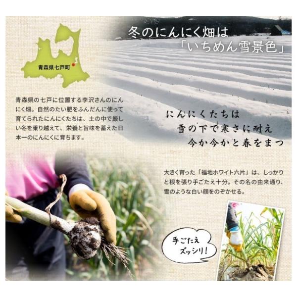 自転車 疲労 回復 サプリ