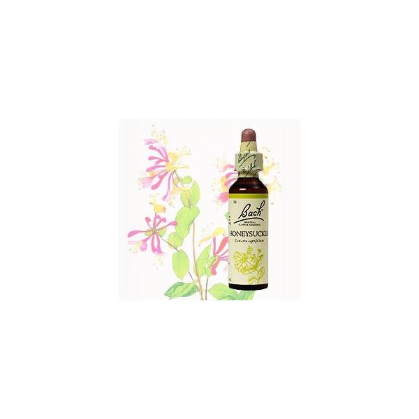 RESCUE ハニーサックル 10ml バッチフラワーレメディー エッセンス