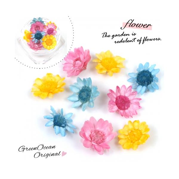 ドライフラワー 9輪 スターフラワー ブルーミングフラワー 小花 プリザーブドフラワー 花材 青 ピンク 黄 ドライ ハーバリウム 押し花 レジン ネイル 隠れ工房 Greenocean 通販 Yahoo ショッピング