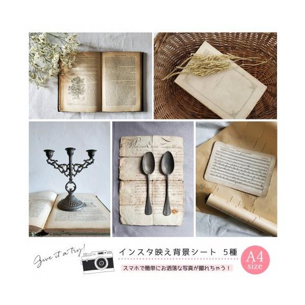 Be A4TCY53 CX^fwiV[g(No.003) AeB[N  obNy[p[ nhCh ANZT[ i ̔ NGC^[x oi