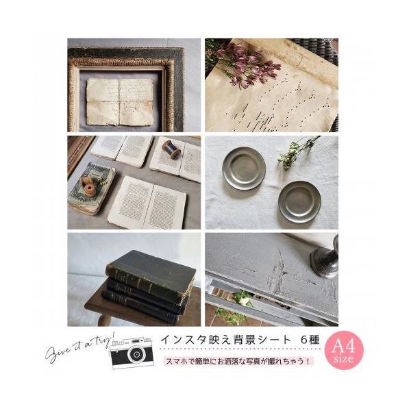 Be A4TCY63 CX^fwiV[g(No.001) AeB[N v  obNy[p[ ANZT[ i ̔ NGC^[x oi