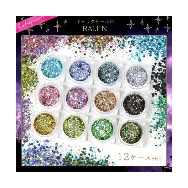 封入 ギャラクシーホロ RAIJIN 偏光ホログラム 12色セット ホログラム
